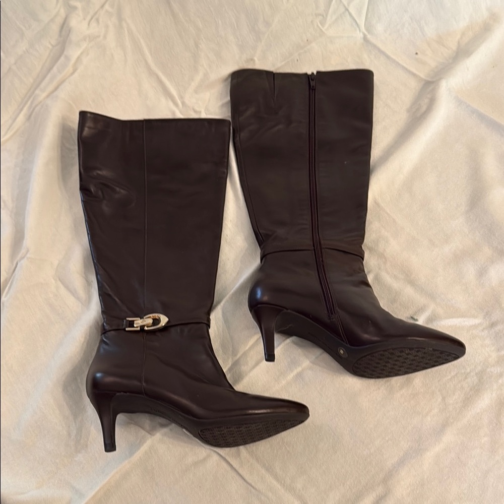 Elegant Chocolate Brown Heeled Women's Boots